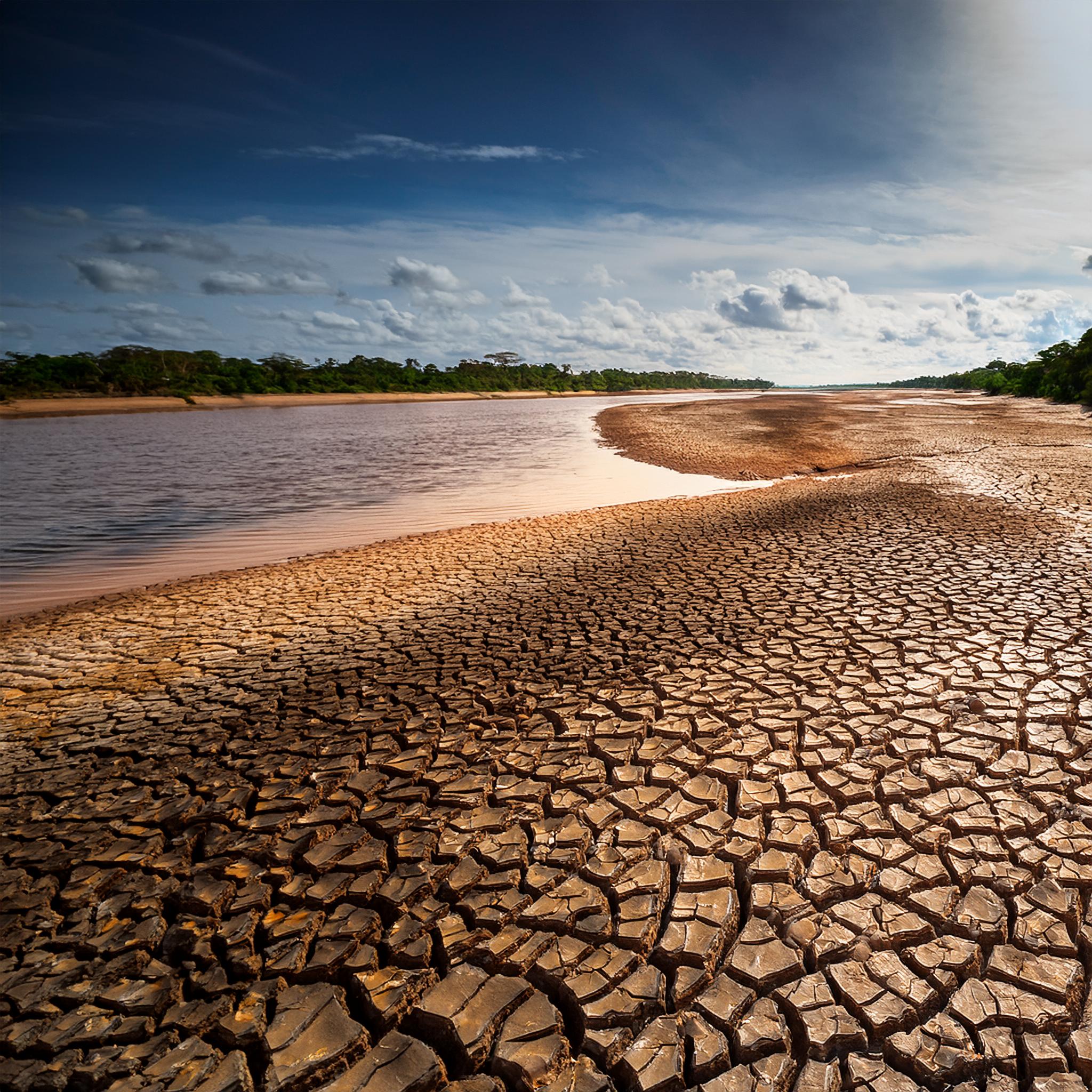 El Río Amazonas Está Sufriendo ¿Qué Está Pasando y Cómo Afecta al Mundo